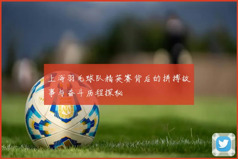 上海羽毛球队精英赛背后的拼搏故事与奋斗历程探秘