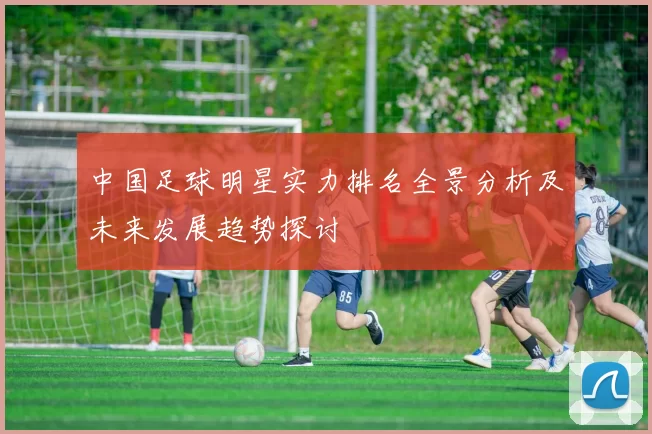 中国足球明星实力排名全景分析及未来发展趋势探讨