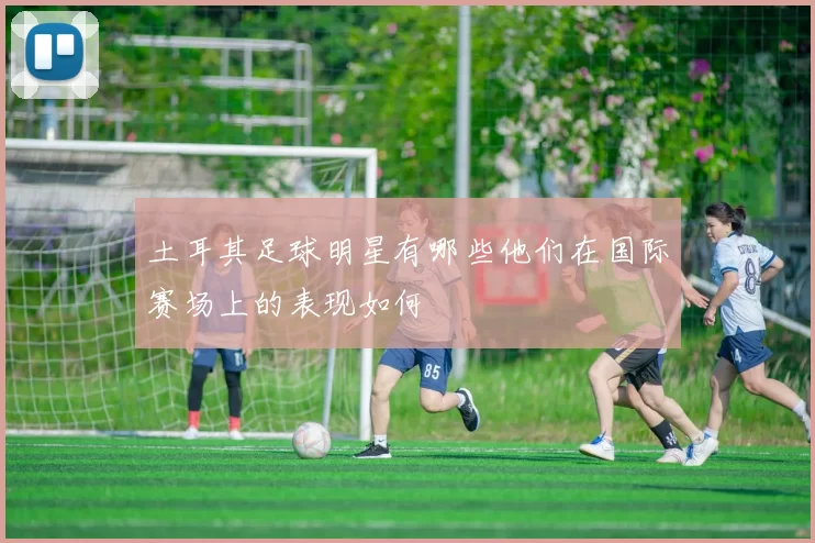 土耳其足球明星有哪些他们在国际赛场上的表现如何