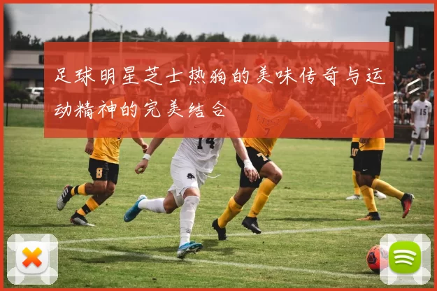 足球明星芝士热狗的美味传奇与运动精神的完美结合