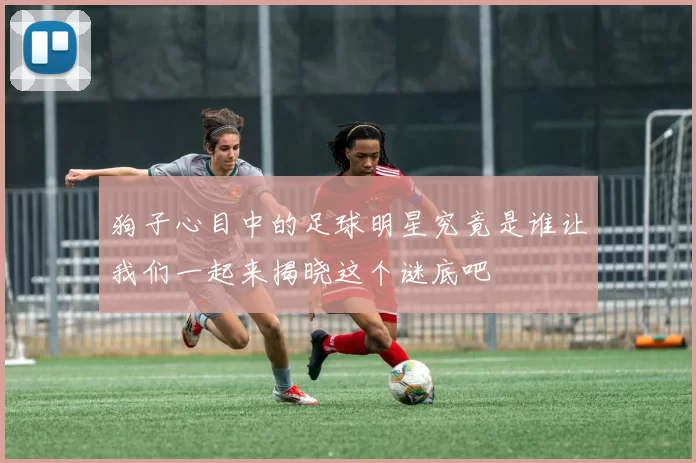 狗子心目中的足球明星究竟是谁让我们一起来揭晓这个谜底吧