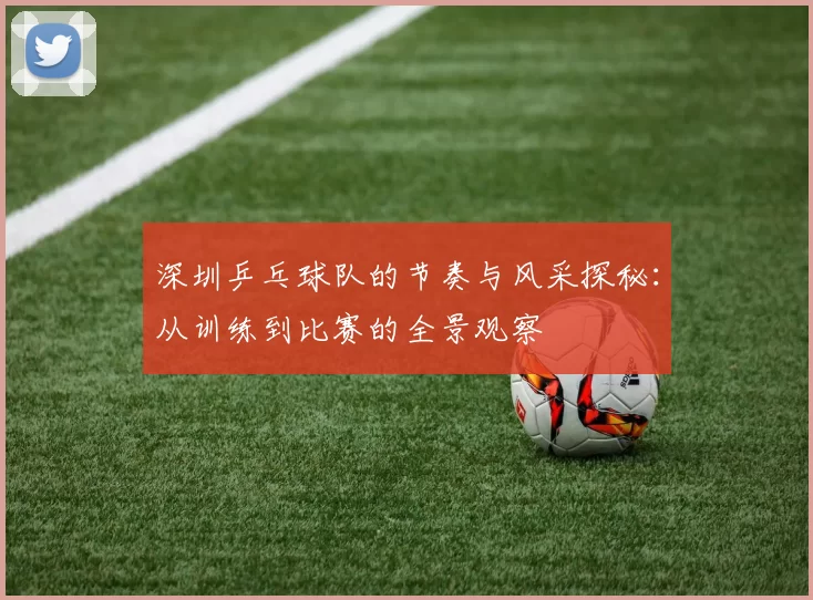深圳乒乓球队的节奏与风采探秘：从训练到比赛的全景观察