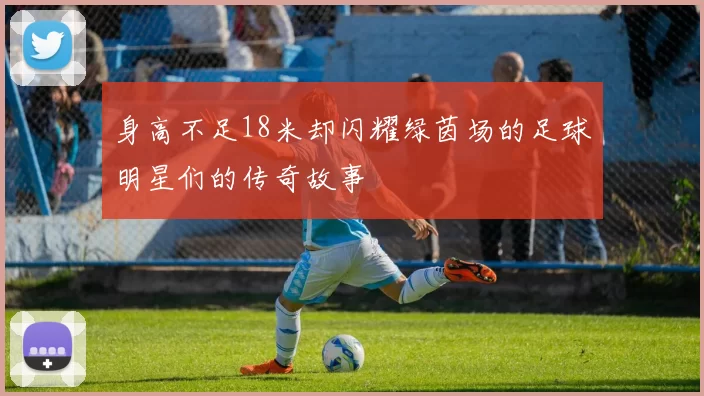 身高不足18米却闪耀绿茵场的足球明星们的传奇故事