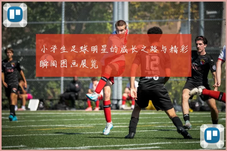 小学生足球明星的成长之路与精彩瞬间图画展览