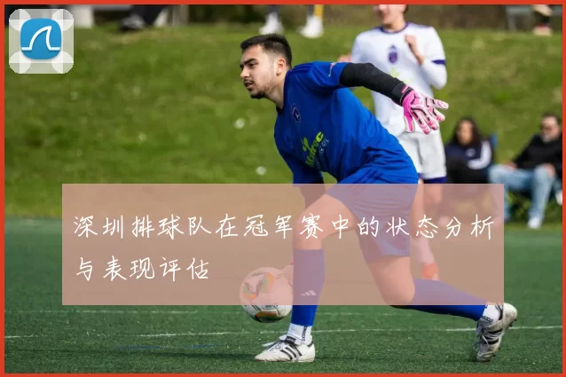 深圳排球队在冠军赛中的状态分析与表现评估