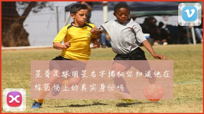 星哥足球明星名字揭秘你知道他在绿茵场上的真实身份吗