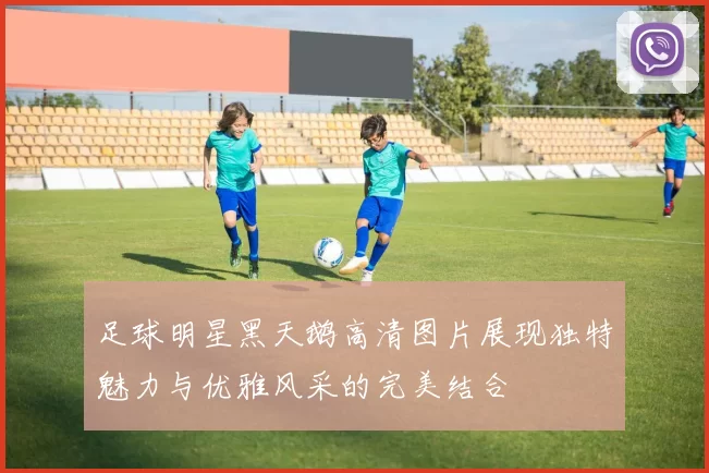 足球明星黑天鹅高清图片展现独特魅力与优雅风采的完美结合