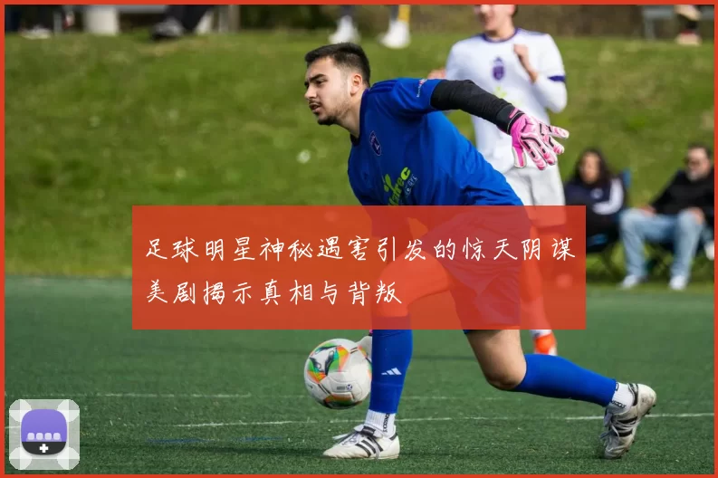 足球明星神秘遇害引发的惊天阴谋美剧揭示真相与背叛