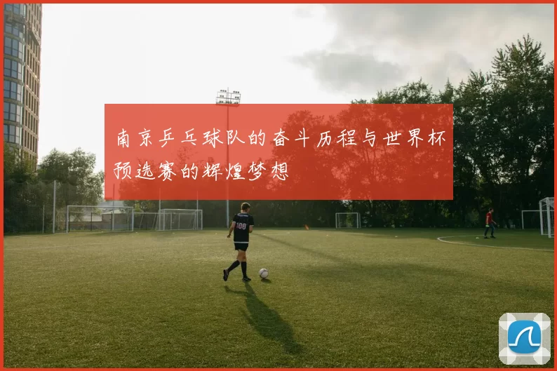 南京乒乓球队的奋斗历程与世界杯预选赛的辉煌梦想