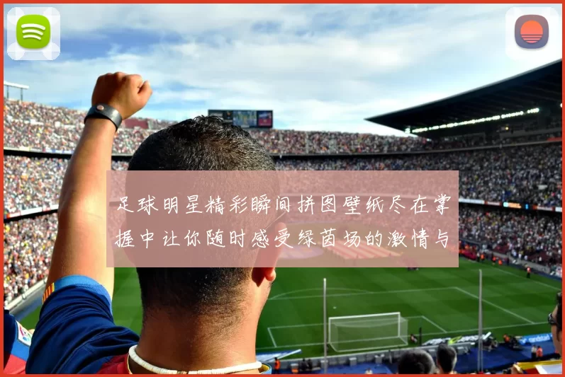 足球明星精彩瞬间拼图壁纸尽在掌握中让你随时感受绿茵场的激情与魅力