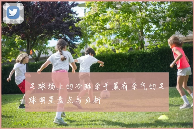 足球场上的冷酷杀手最有杀气的足球明星盘点与分析
